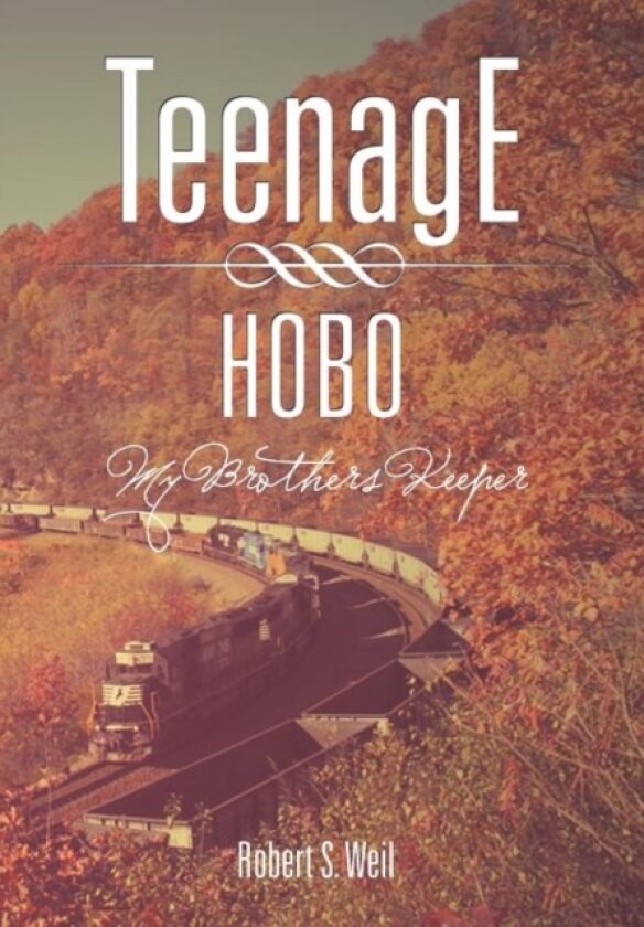 Teenage Hobo av Robert S Weil (Hardcover)