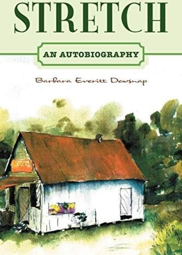 Stretch av Barbara Everitt Dewsnap (Paperback)