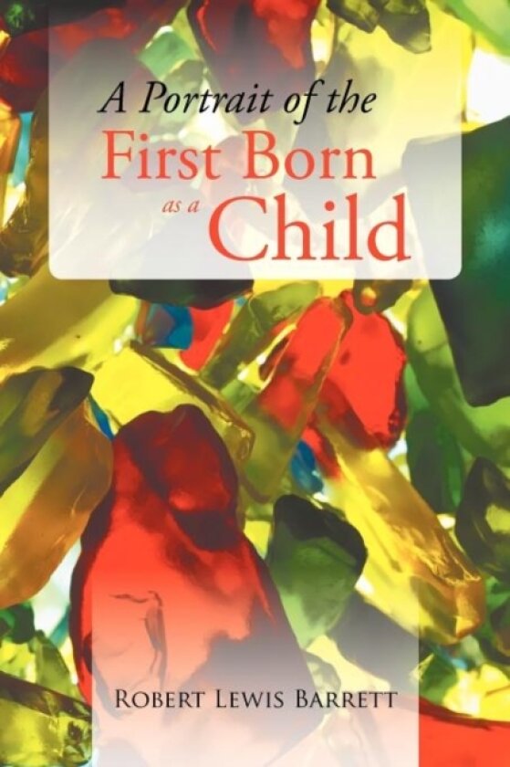 A Portrait of the First Born as a Child av Robert Lewis Barrett (Paperback)