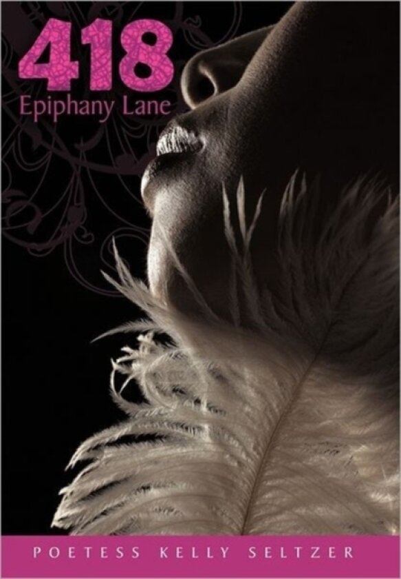 418 Epiphany Lane av Poetess Kelly Seltzer (Paperback)