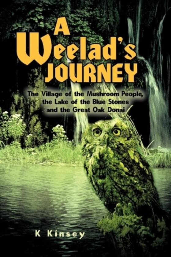 A Weelad's Journey av K Kinsey (Paperback)
