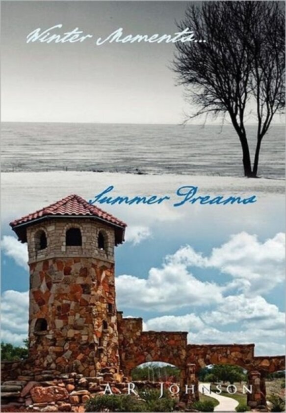 Winter Moments...Summer Dreams av A R Johnson (Hardcover)