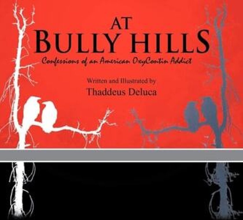 At Bully Hills av Thaddeus DeLuca (Paperback)