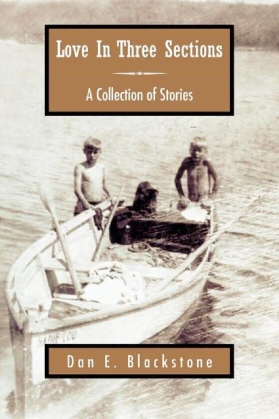 Love in Three Sections av Dan E Blackstone (Paperback)