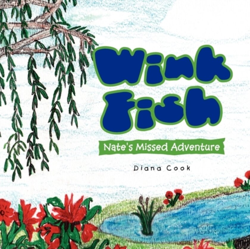 Wink Fish av Diana Cook (Paperback)