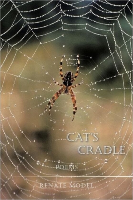 Cat's Cradle av Renate Model (Hardcover)
