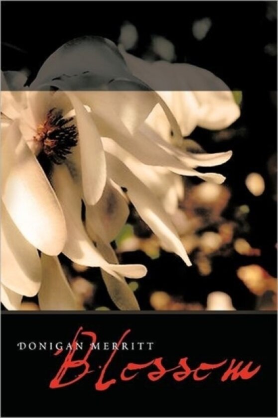 Blossom av Donigan Merritt (Hardcover)