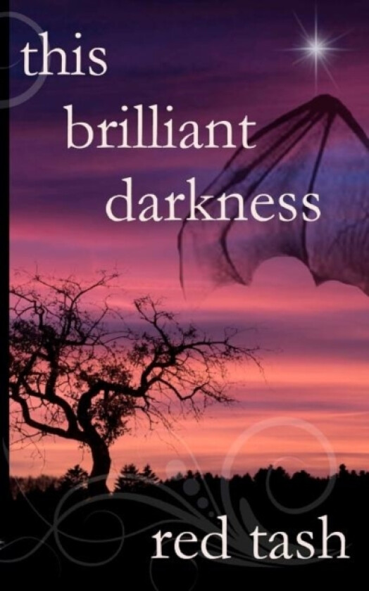 This Brilliant Darkness av Red Tash (Paperback)