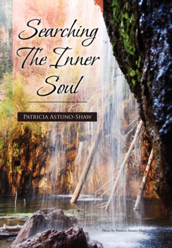 Searching the Inner Soul av Patricia Astuno-Shaw (Paperback)