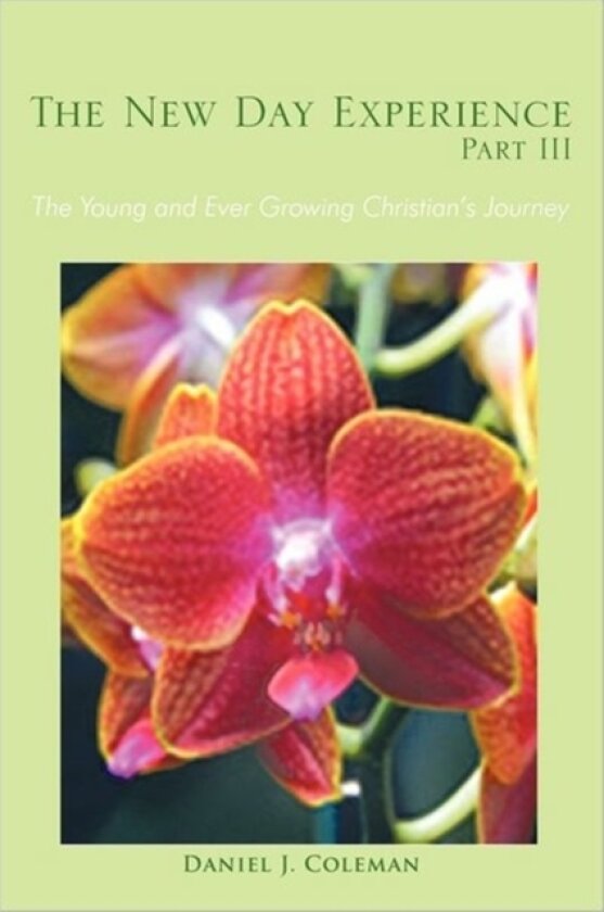 The New Day Experience Part III av Daniel J. Coleman (Paperback)