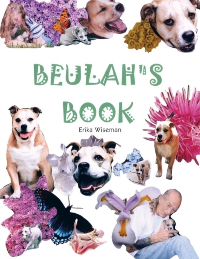 Beulah's Book av Erika Phillips (Paperback)