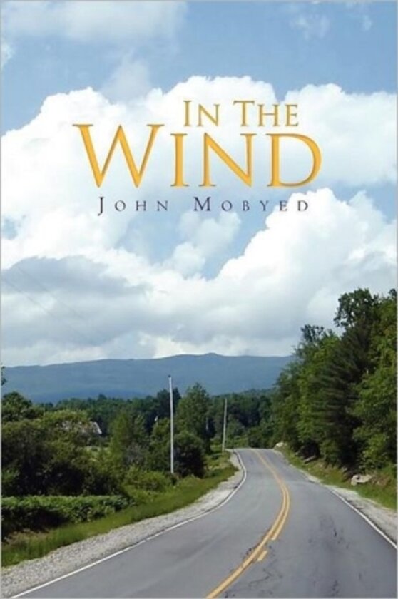 In the Wind av John Mobyed (Paperback)