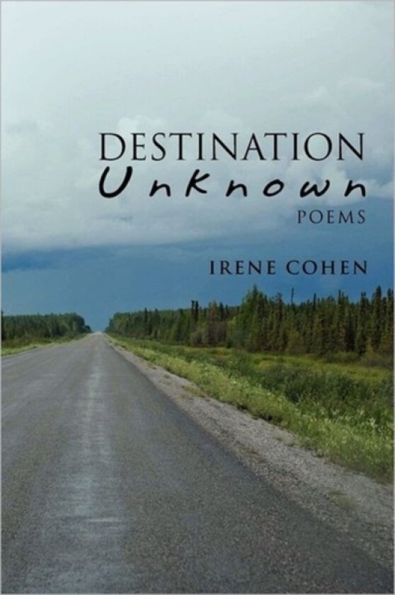 Destination Unknown av Professor Irene Cohen (Paperback)