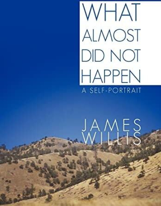 What Almost Did Not Happen av James Willis (Hardcover)