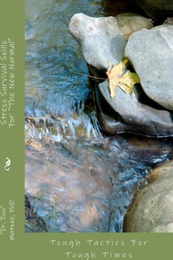 Stress Survival Skills For "The New Normal" av Dan PhD Matzke (Paperback)