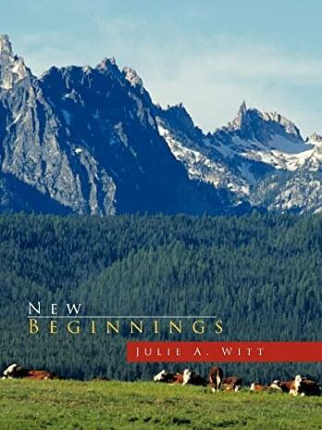 New Beginnings av Julie A. Witt (Hardcover)