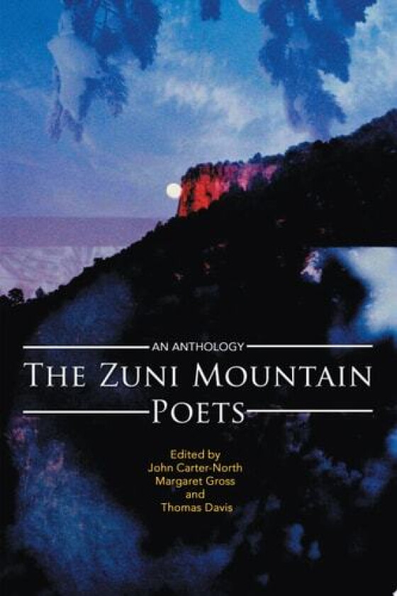 The Zuni Mountain Poets av John Carter-North, Margaret Gross, Thomas Davis (Paperback)