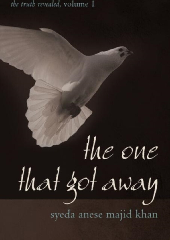 The One That Got Away av Syeda Anese Majid Khan (Paperback)