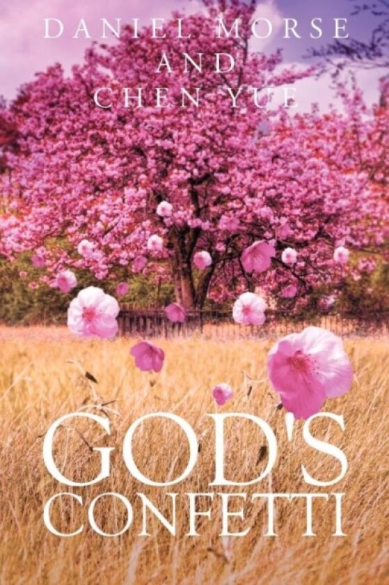 God's Confetti av Daniel Morse (Paperback)