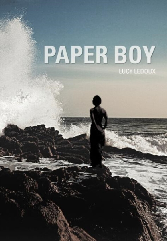 Paper Boy av Lucy LeDoux (Hardcover)