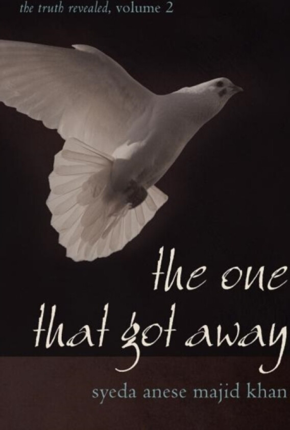 The One That Got Away av Syeda Anese Majid Khan (Paperback)