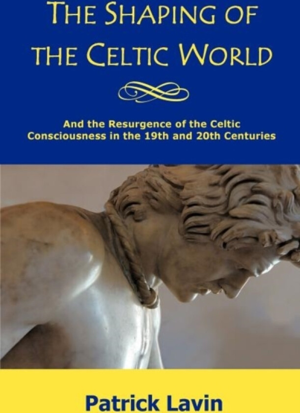 The Shaping of the Celtic World av Patrick Lavin (Paperback)