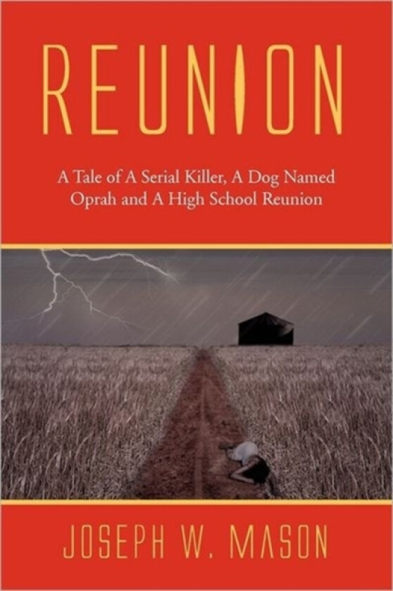 Reunion av Joseph W Mason (Paperback)