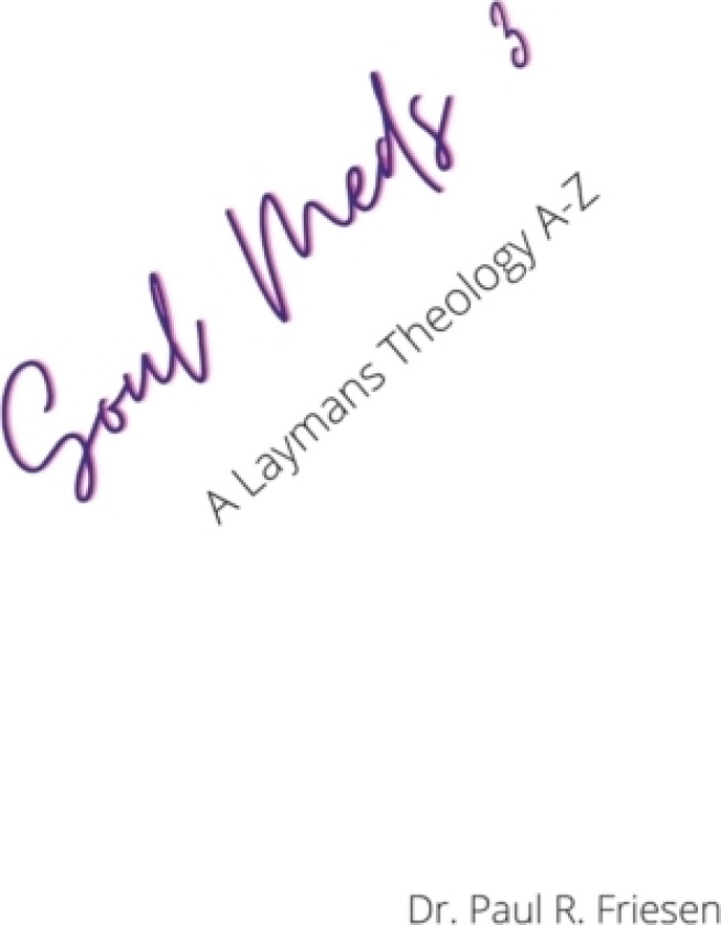 Soul Meds 3 av Paul R Friesen (Paperback)