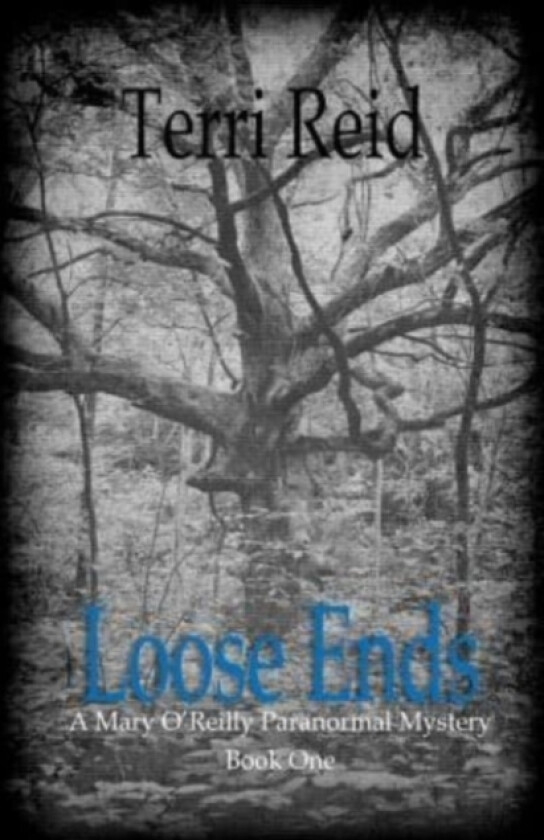 Loose Ends av Terri Reid (Paperback)