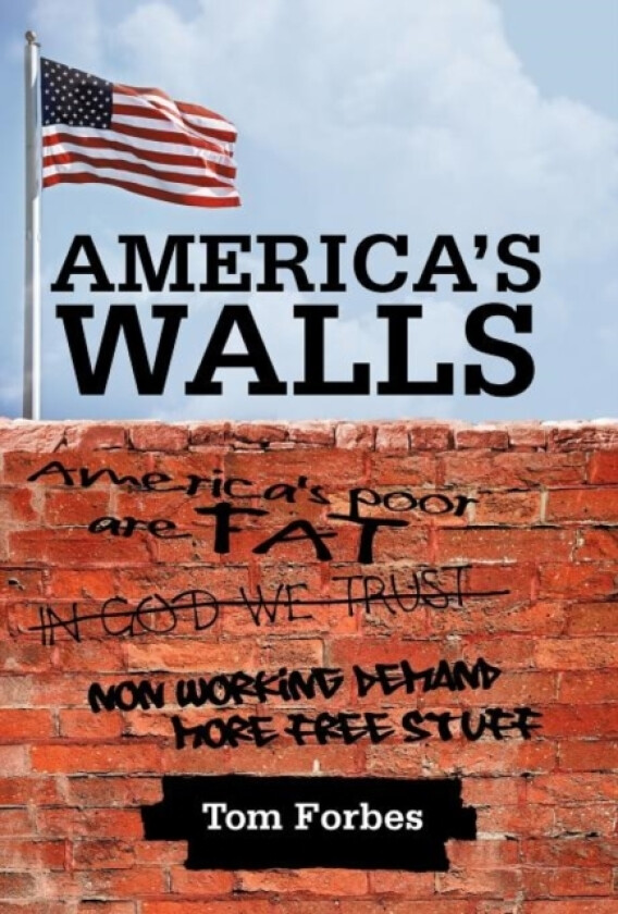 America's Walls av Tom Forbes (Hardcover)