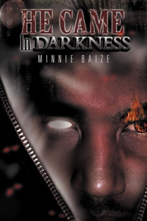 He Came in Darkness av Minnie Baize (Paperback)