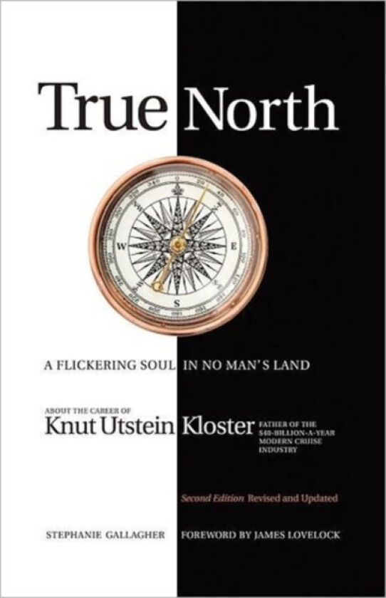 True North av Stephanie Gallagher (Paperback)