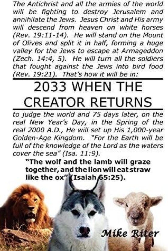 2033 When the Creator Returns av Mike Riter (Paperback)