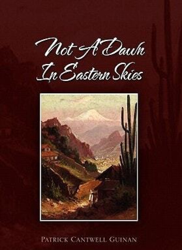 Not a Dawn in Eastern Skies av Patrick Cantwell Guinan (Hardcover)