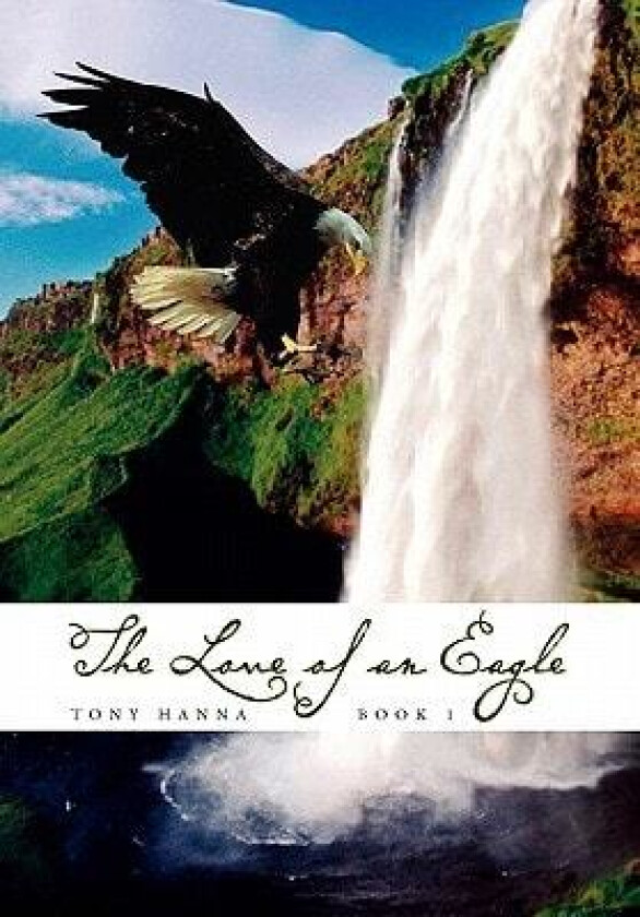 The Love of an Eagle - Book 1 av Tony Hanna (Paperback)