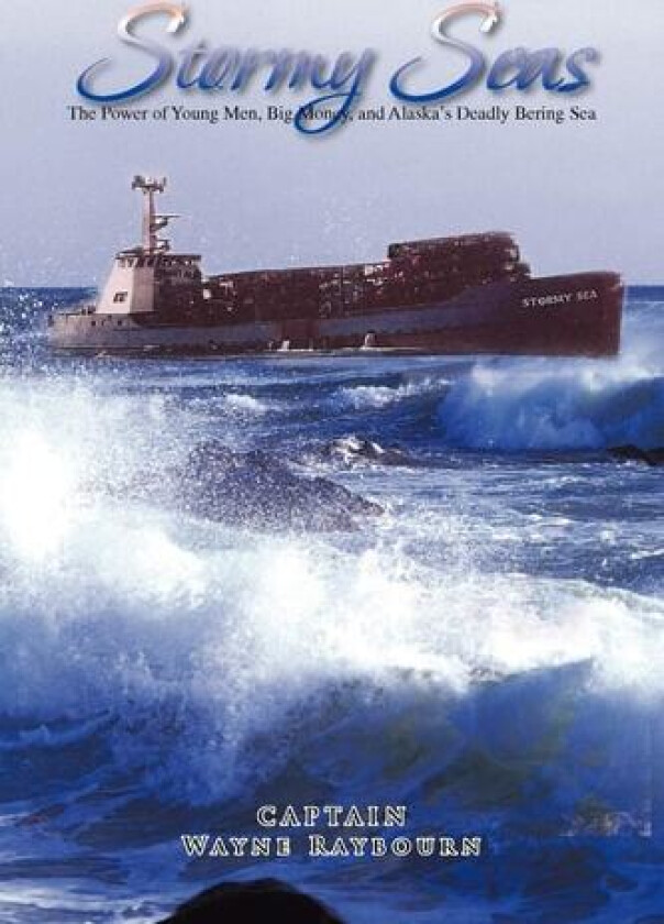 Stormy Seas av Wayne Raybourn (Paperback)