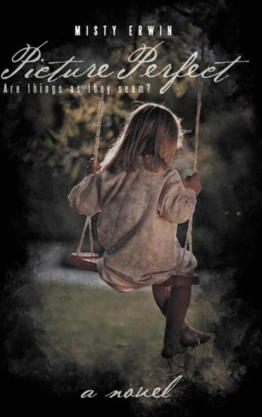 Picture Perfect av Misty Erwin (Paperback)