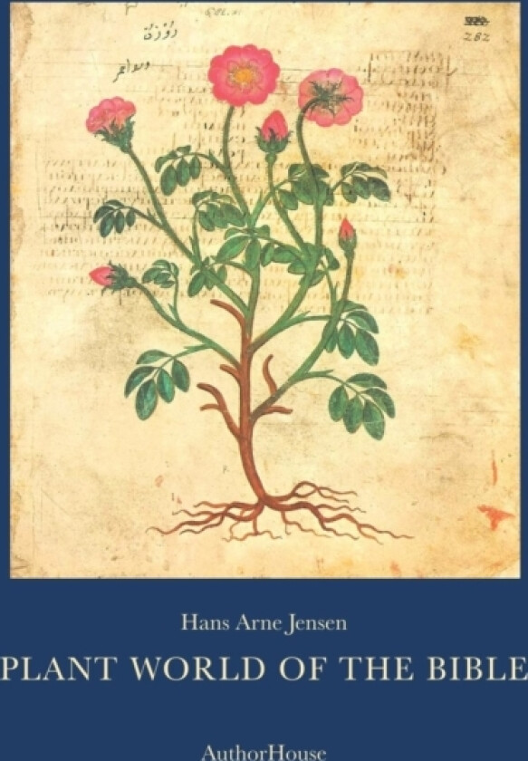 Plant World of the Bible av Hans Arne Jensen (Paperback)