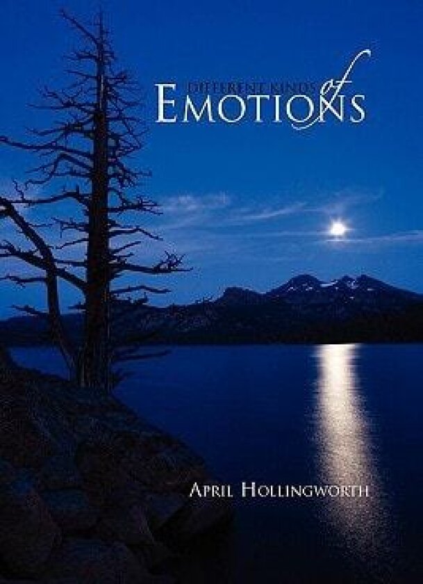 Different Kinds of Emotions av April Hollingworth (Paperback)