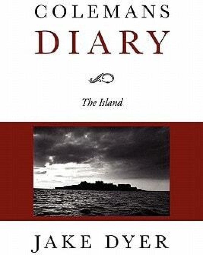 Colemans Diary av Jake Dyer (Paperback)