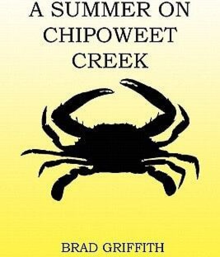 A Summer on Chipoweet Creek av Brad Griffith (Paperback)