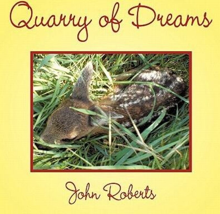Quarry of Dreams av John Roberts (Paperback)