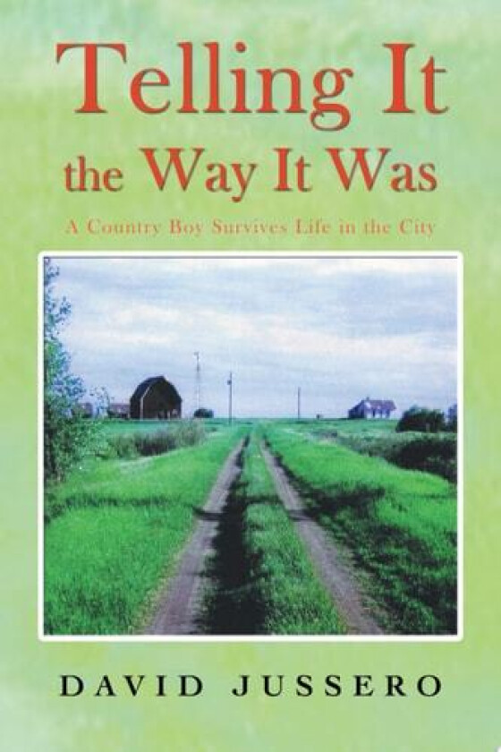 Telling It The Way It Was: A Country Boy Survives Life in the City av David R. Jussero (Paperback)