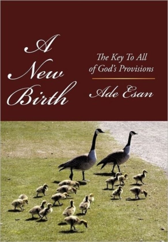 A New Birth av Ade Esan (Hardcover)