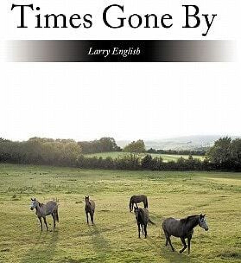 Times Gone by av Larry English (Hardcover)