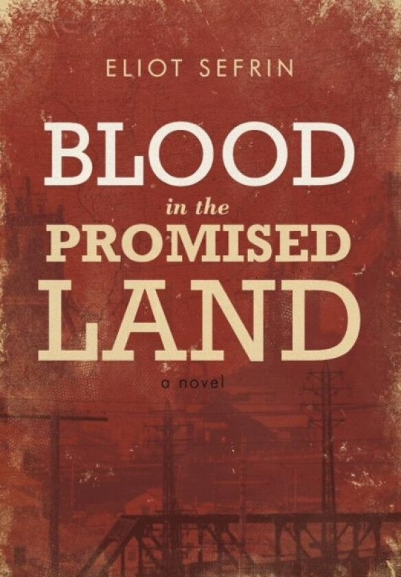 Blood in the Promised Land av Eliot Sefrin (Hardcover)