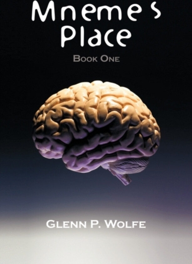 Mneme's Place av Glenn P Wolfe (Paperback)