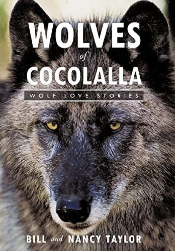 Wolves of Cocolalla: Wolf Love Stories av Bill and Nancy Taylor (Hardcover)