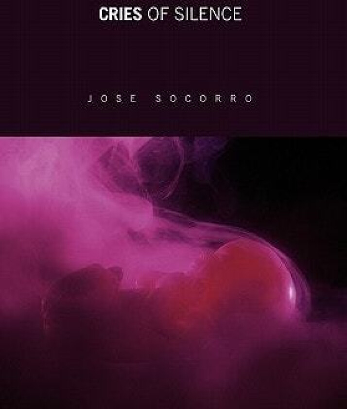 Cries of Silence av Jose Socorro (Paperback)
