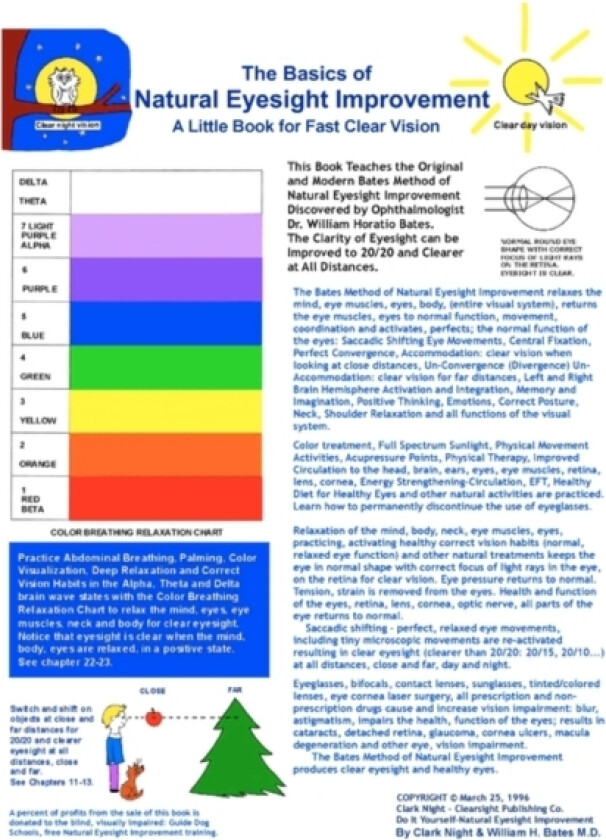 The Basics of Natural Eyesight Improvement - A Little Book for Fast, Clear Vision av William H Bates, Clark Night (Paperback)
